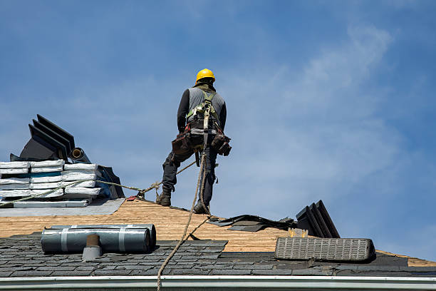 Professional Flat Roof Repair technician working in New Windsor, IL